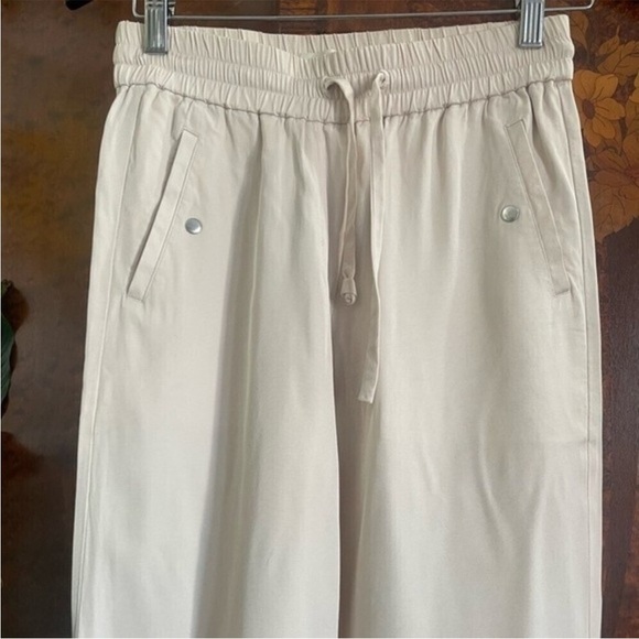 Wilfred Free Pull On Old Money Silky Preppy Pants‎ Color Cream Beige Size XS - Picture 3 of 12